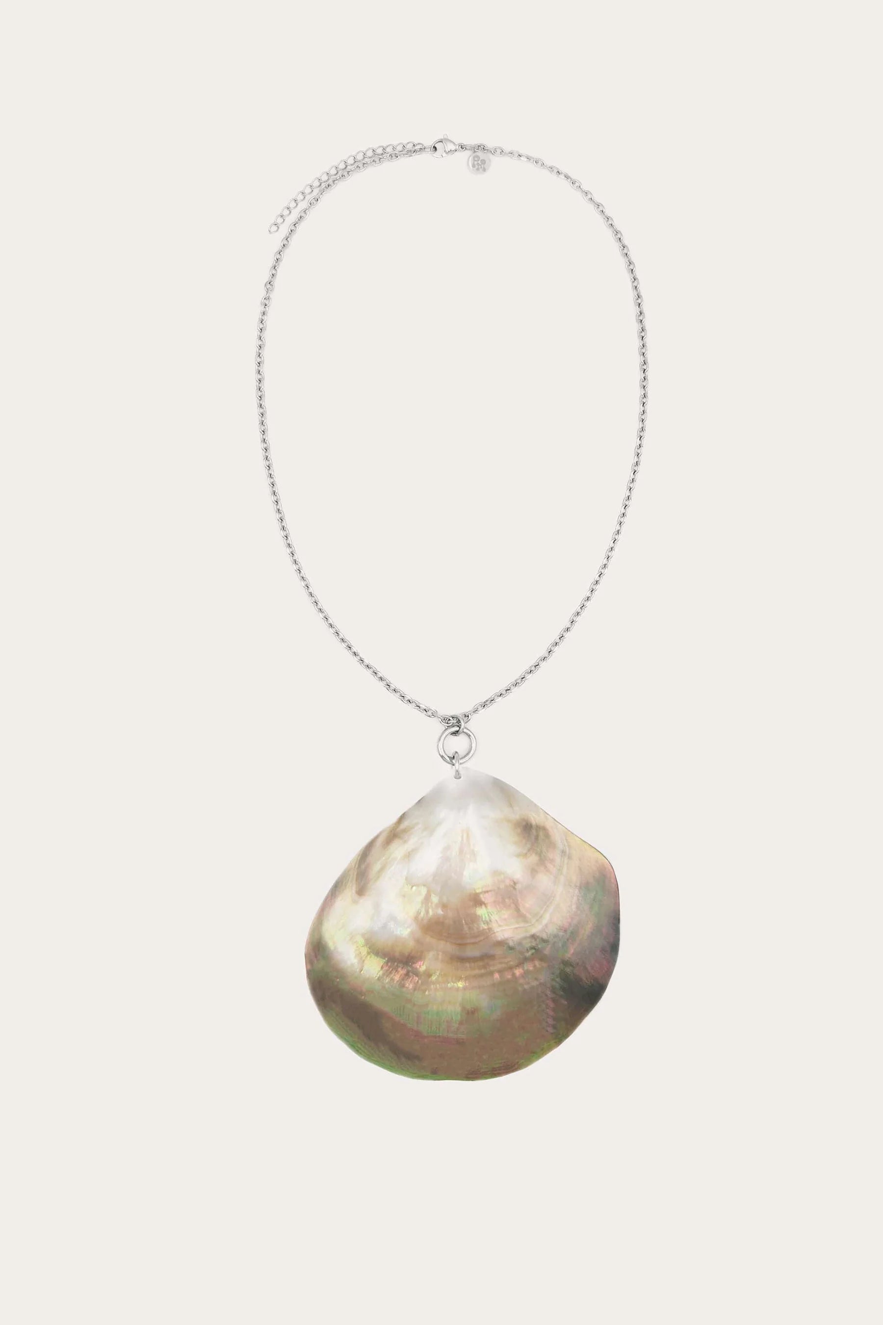 Abalone Shell Necklace in Gold + Silver