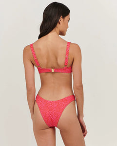 Isidora Bra in Zebra